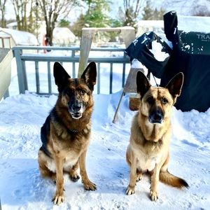 Meet your Posher, Michele